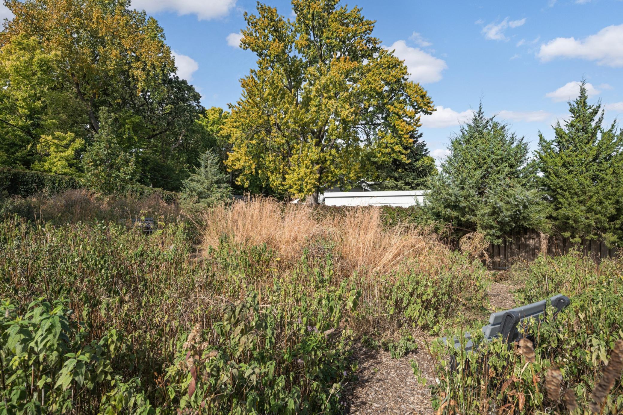 Local Parks