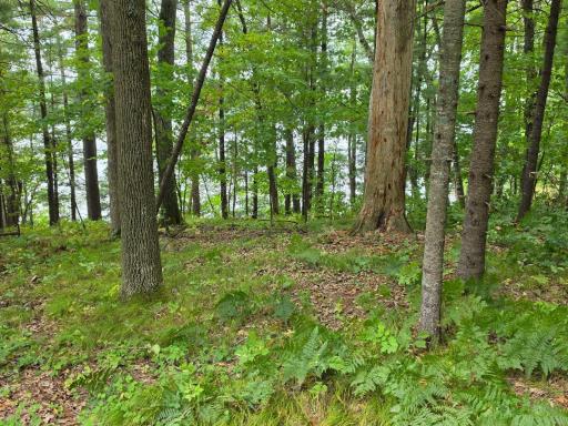 2406 4th Street ( Cty Rd H), Cumberland, WI 54829