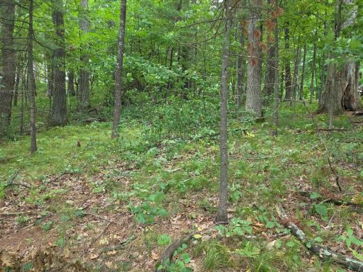 2406 4th Street ( Cty Rd H), Cumberland, WI 54829