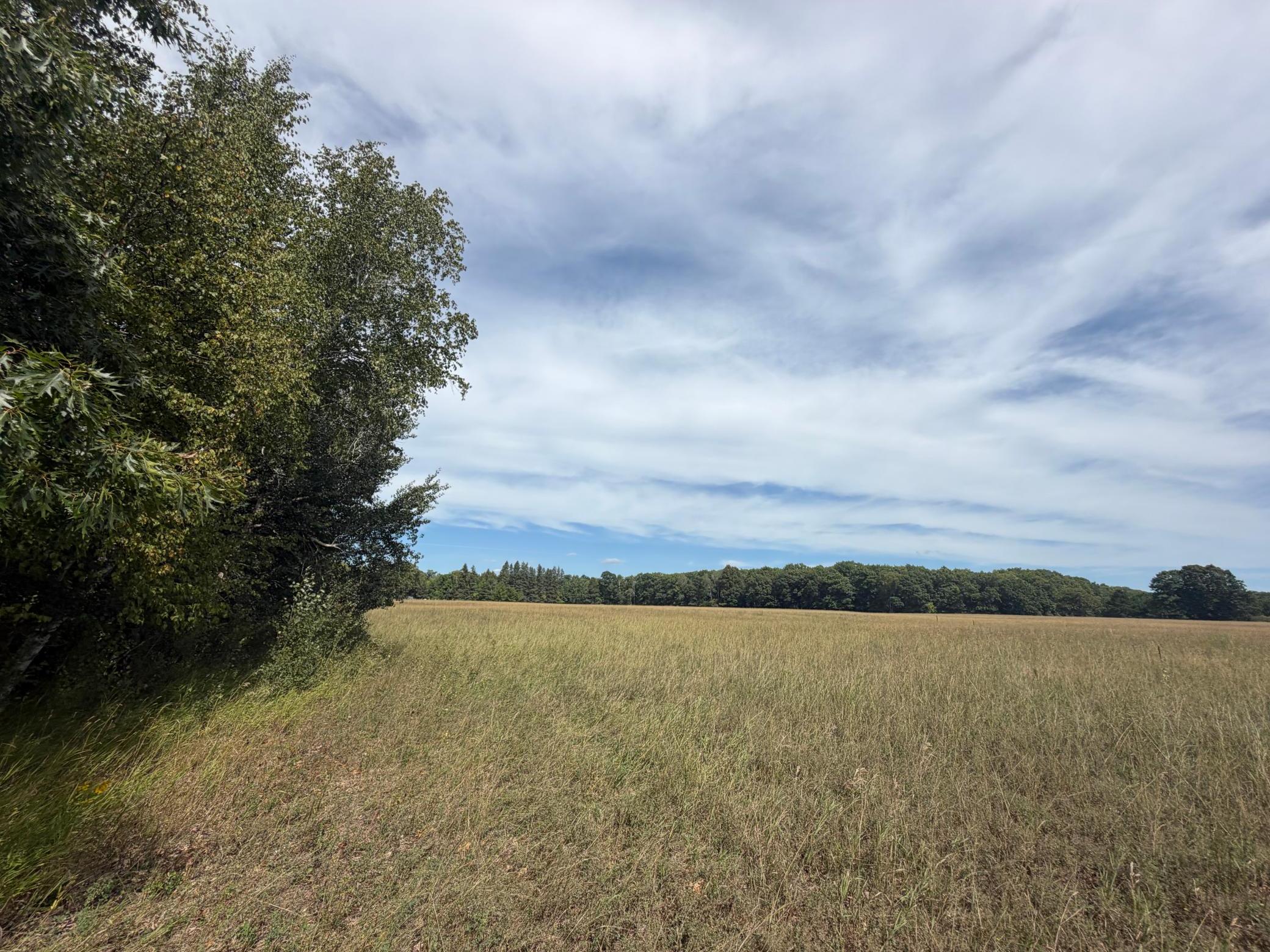 TBD Lookout Road, Ironton, MN 56455