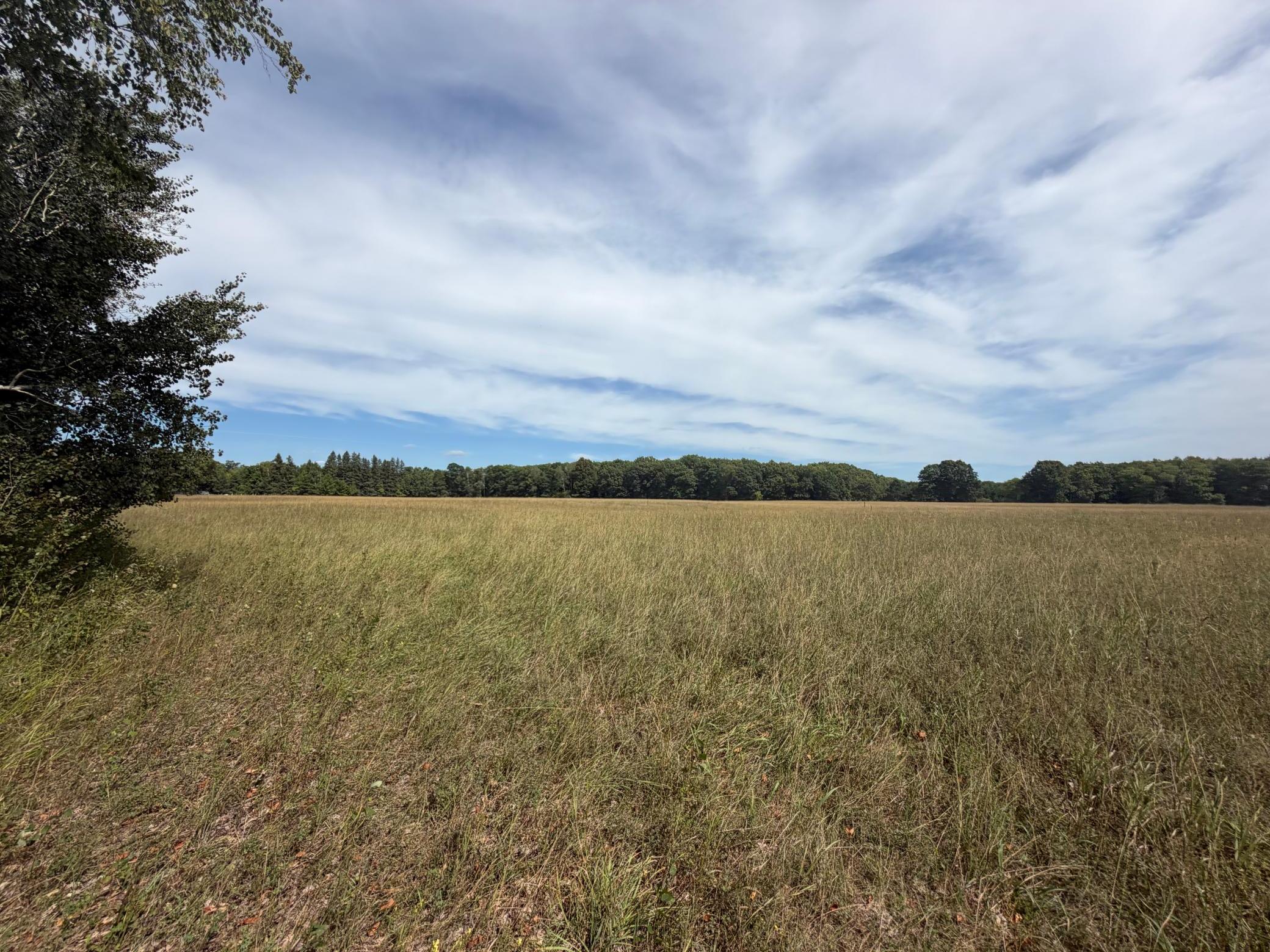 TBD Lookout Road, Ironton, MN 56455