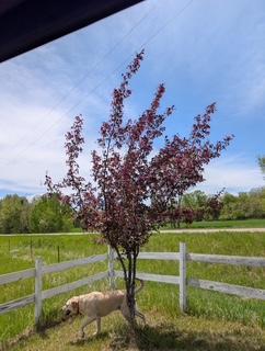 45594 313th Street, Motley, MN 56466