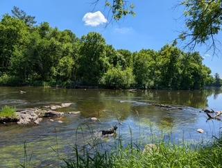 45594 313th Street, Motley, MN 56466