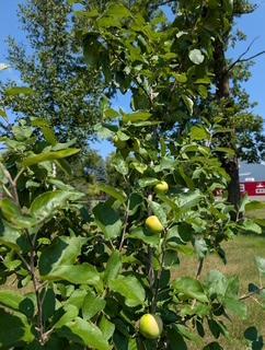 45594 313th Street, Motley, MN 56466