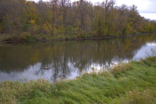 LONG PRAIRIE RIVER 1,400 FT. (NOT CONTINUOUS