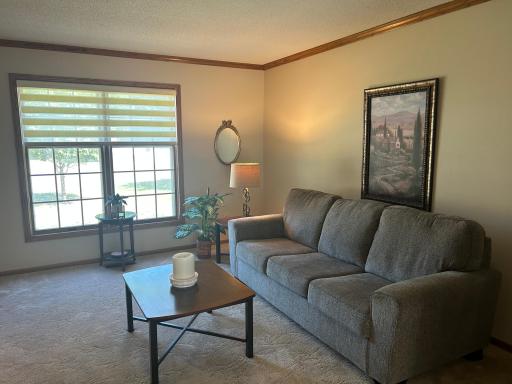 1204 Horizon Drive, Marshall, MN 56258