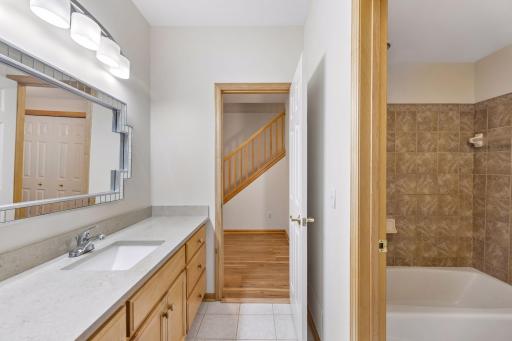 Lower level bathroom