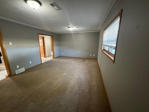 Lower level family room
