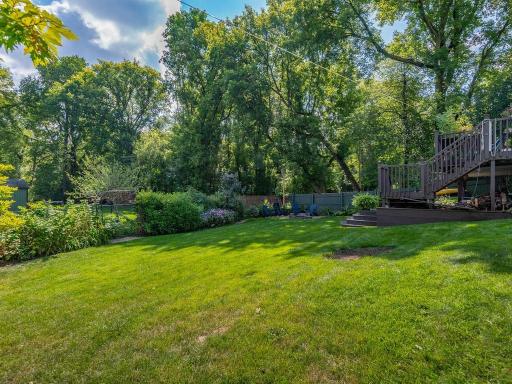 Lush fenced backyard area.