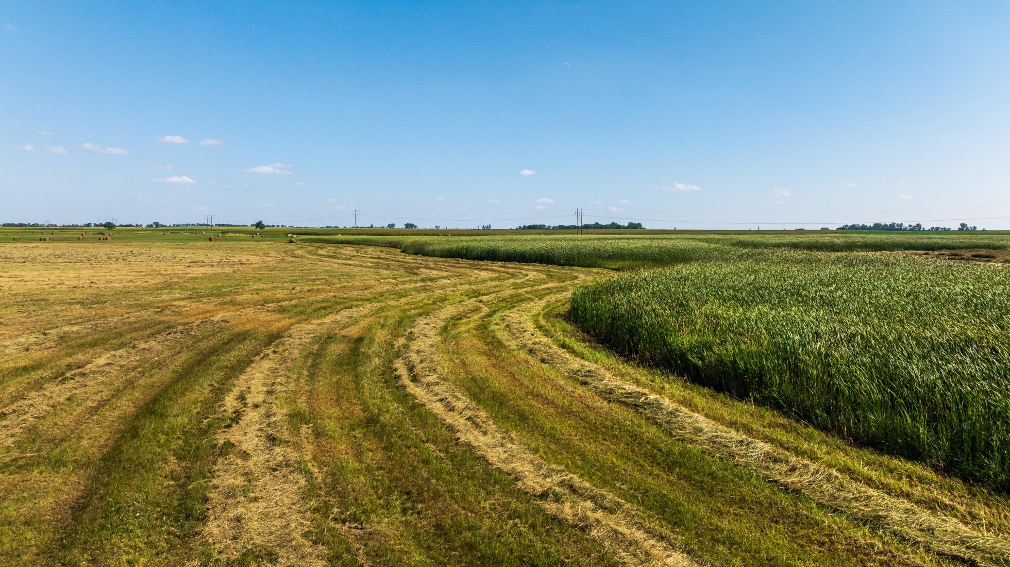 Amdak__Brossart - Ruby ND _0123.jpg
