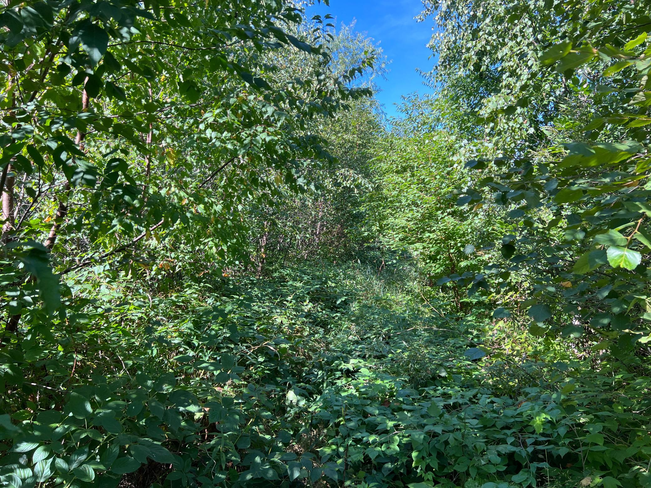 IMG_4160.JPG