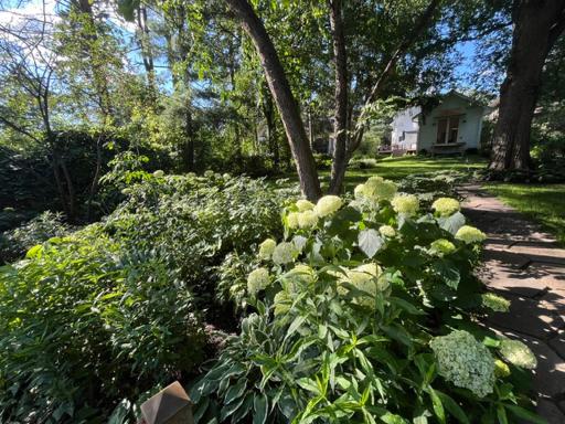 The yard is full of low maintence plantings.