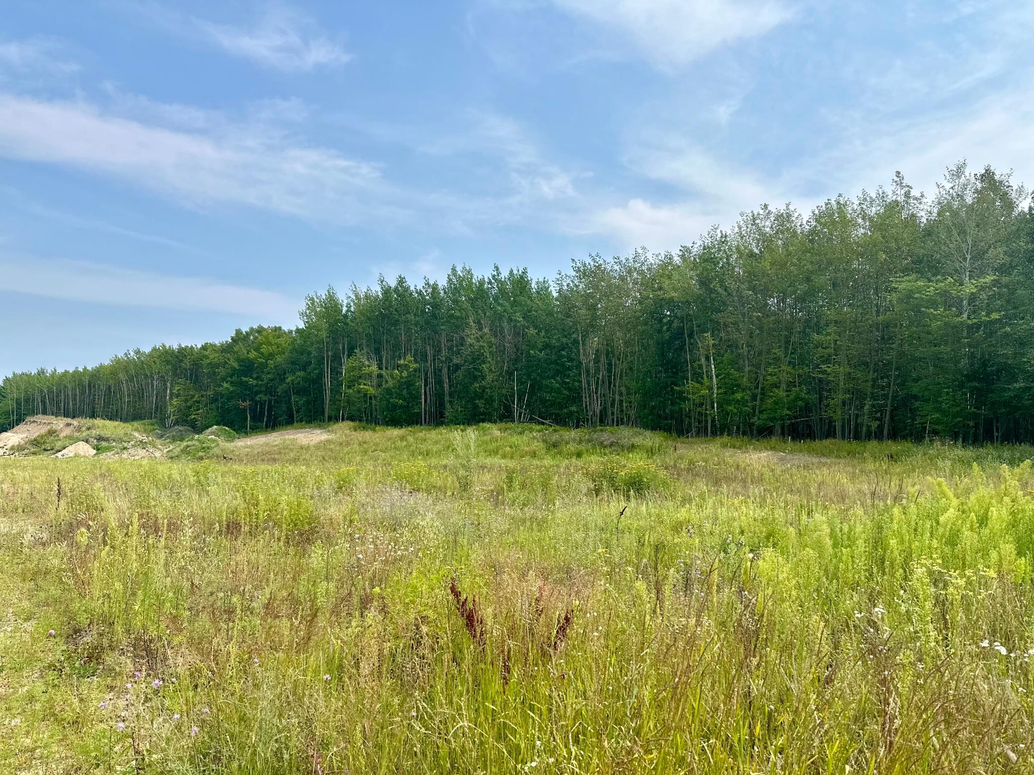 Property photo for TBD-Lot 8 E Ottertail Road NW, Walker, MN 56484