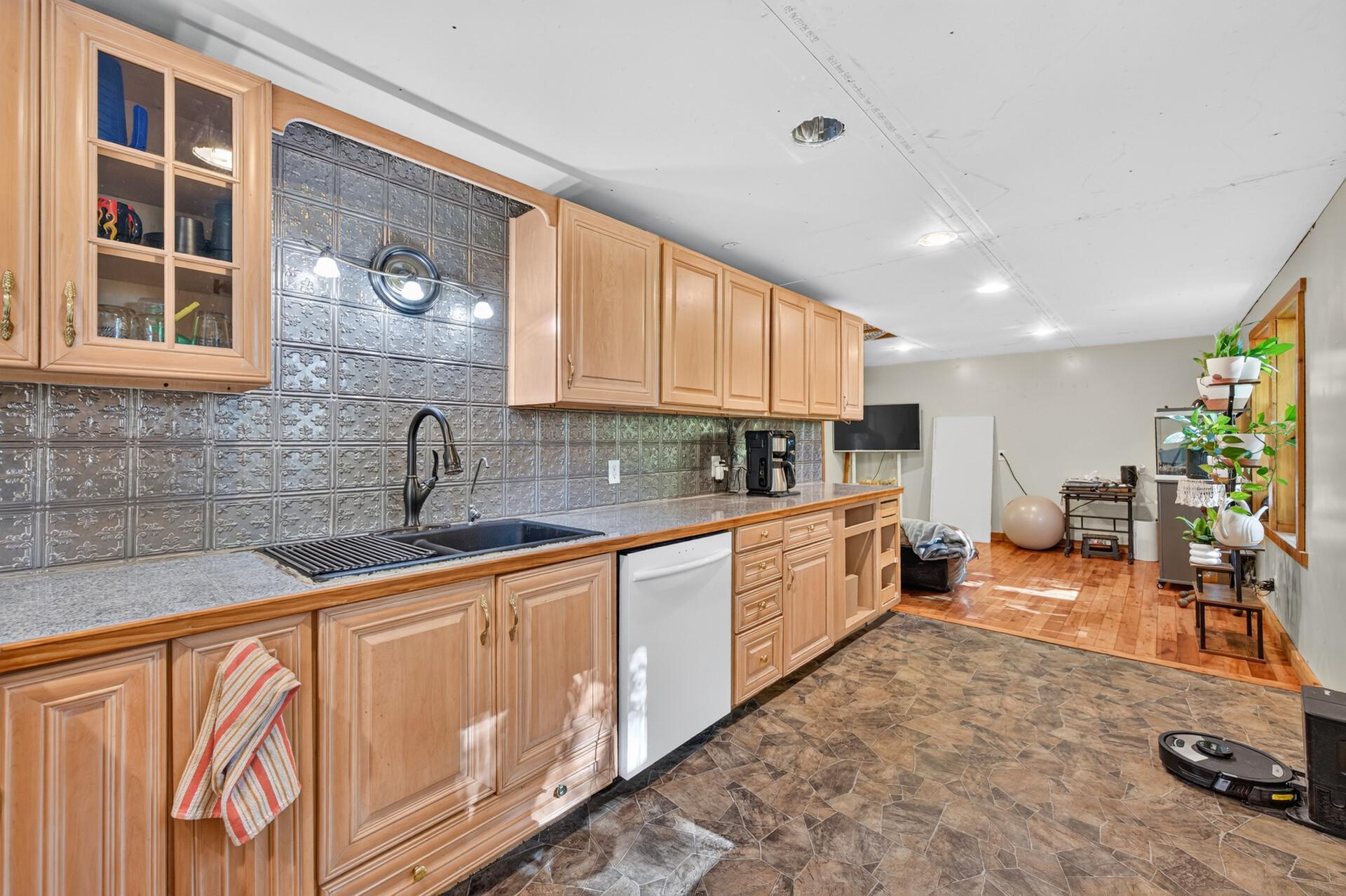 Lower level kitchen