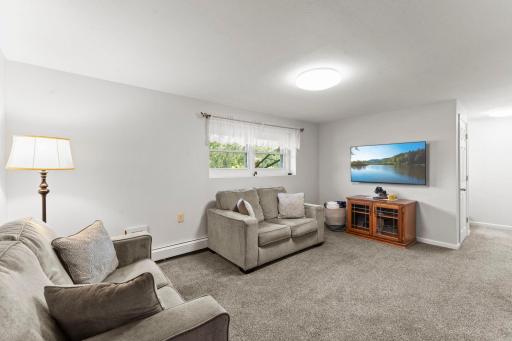 Fantastic lower level farmily room!