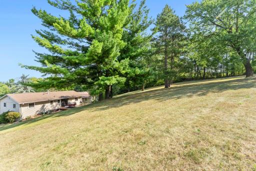 Almost an acre lot offers a ton of space to run and play. Beautiful mature trees!