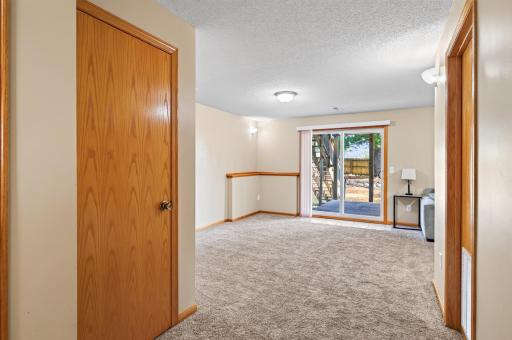 More angles of the lower level family room. Door to the left offers additional under stair storage.