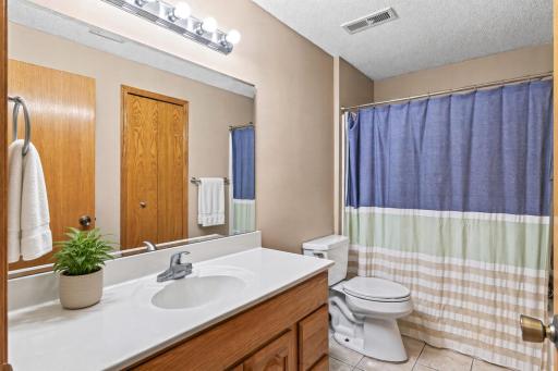 Lower level bathroom.