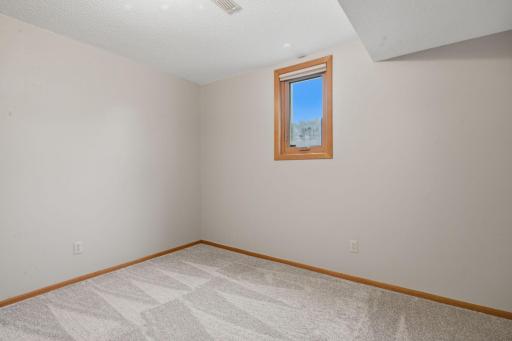 4th bedroom in the lower level - brand new carpet from Floor to Ceiling.