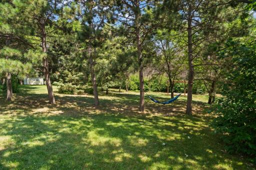 A private backyard retreat with mature trees, open lawn space, and plenty of room to relax or play.