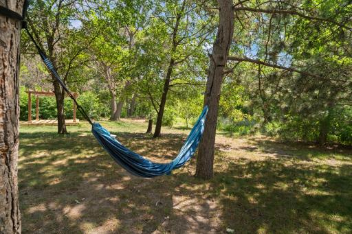A private backyard retreat with mature trees, open lawn space, and plenty of room to relax or play.
