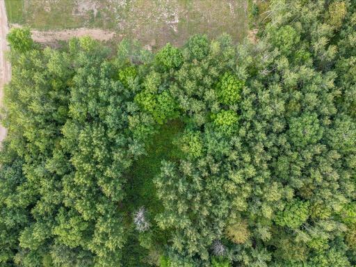 Overhead View