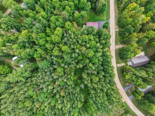 Strait Trees and Privacy