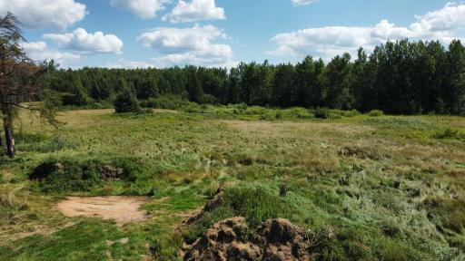 Photo 35