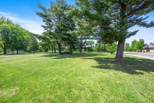 Backyard!