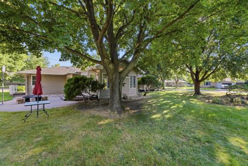10-web-or-mls-DSC09321_autoremove_56953551.jpg