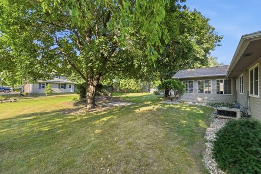 8-web-or-mls-DSC09311_autoremove_56953497.jpg