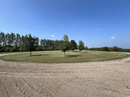 IMG_4696.jpg