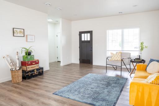 Living Room Enterance