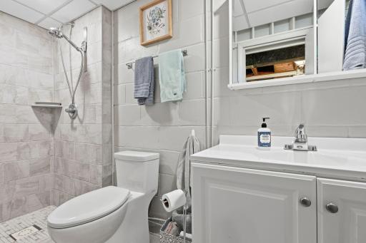 Lower level bathroom