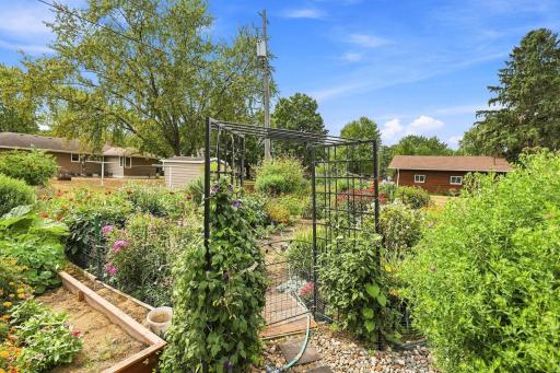 Amazing gardens