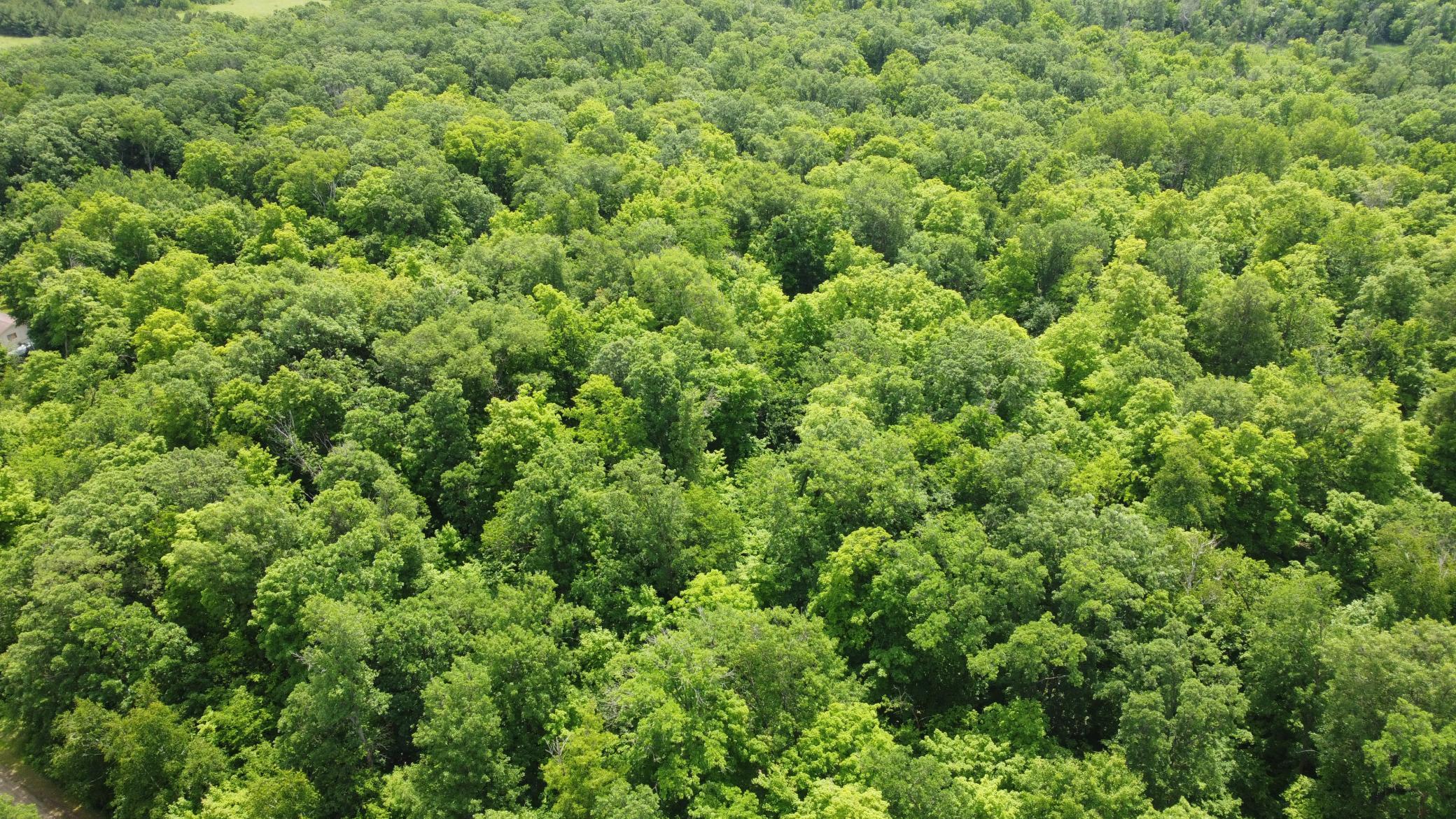 DJI_0500.JPG