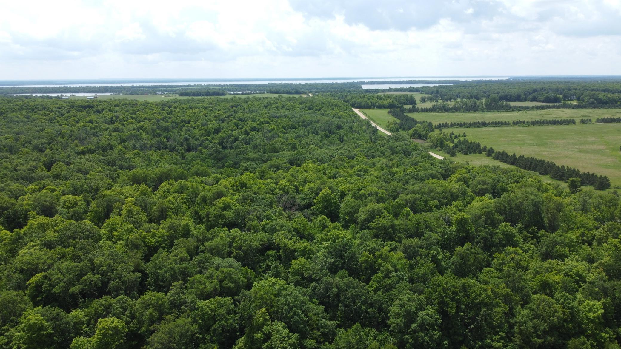 DJI_0501.JPG