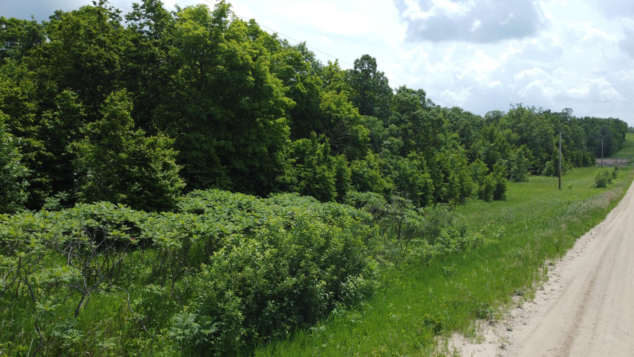 DJI_0505.JPG
