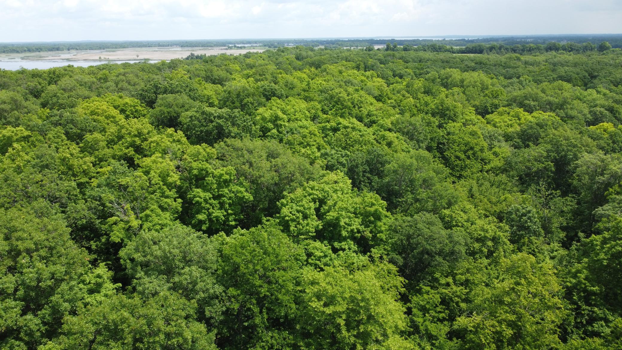 DJI_0506.JPG