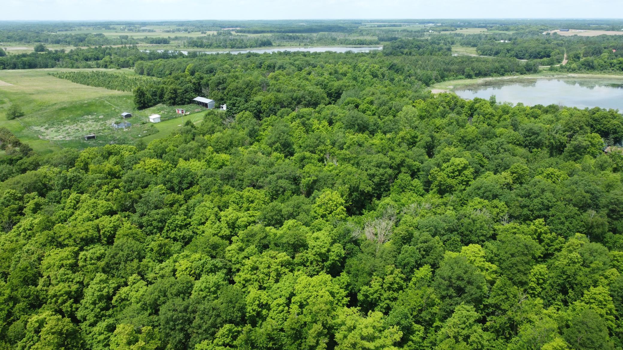 Property photo for TBD 355th Street, Richville, MN 56576