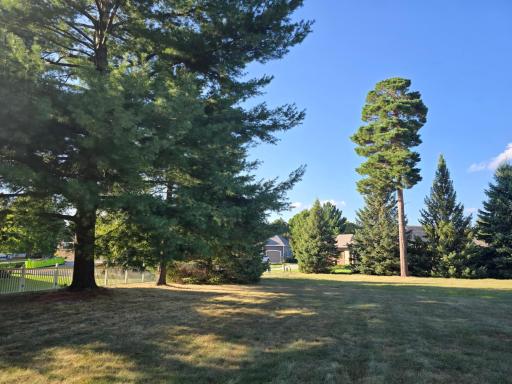 Gorgeous wooded lot