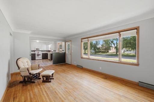 10-web-or-mls-261_Dupont_Ave_NE_Hector_MN_004.jpg
