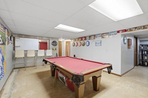 39-web-or-mls-261_Dupont_Ave_NE_Hector_MN_033.jpg