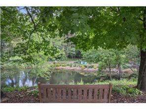 Pond and trail on property