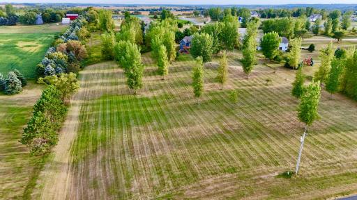 Backyard Drone photo.jpg