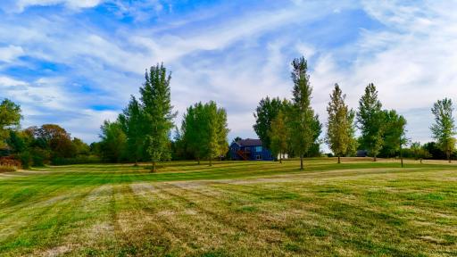 Backyard ground level.jpg
