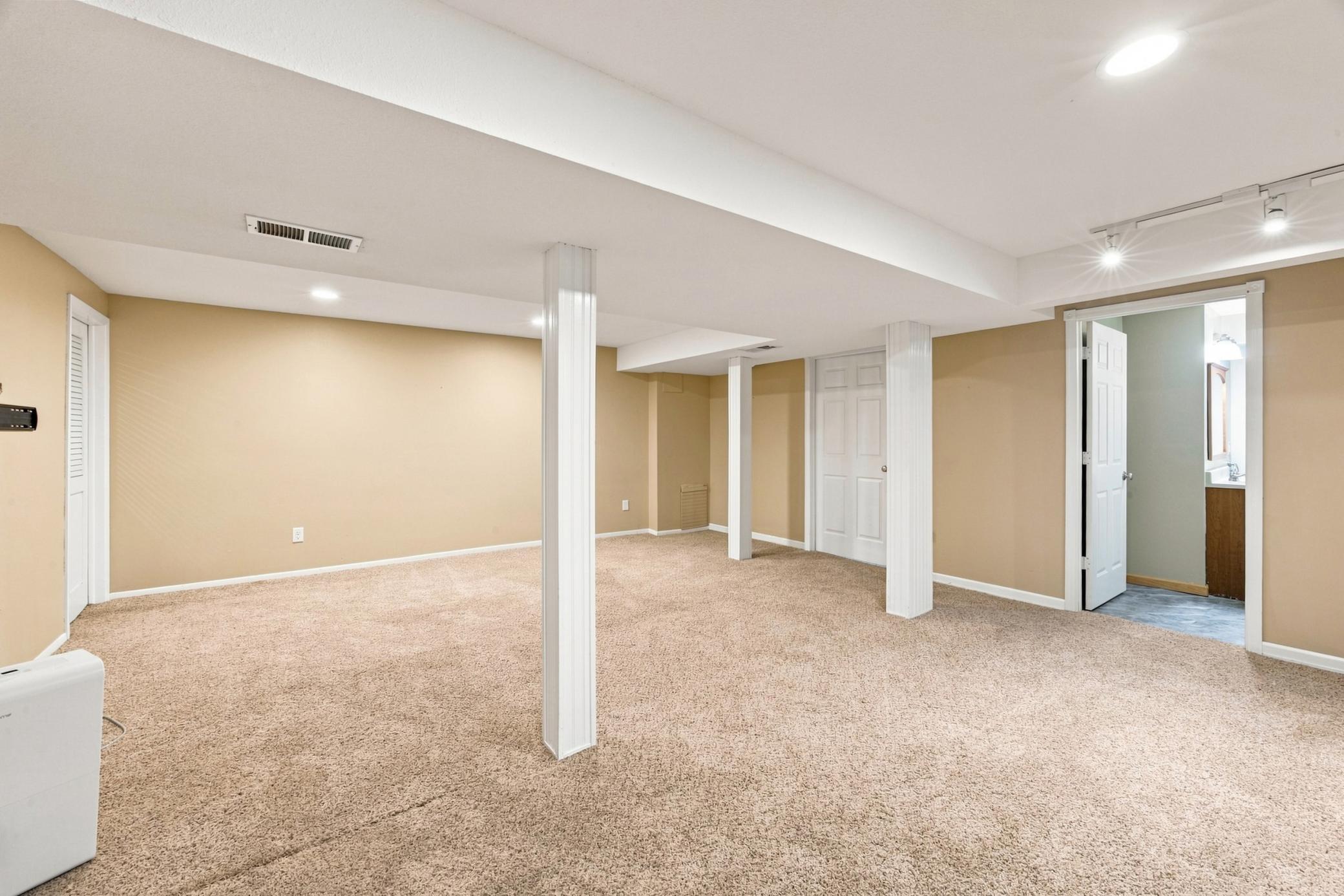 Basement Family Room