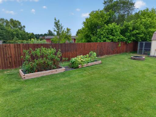 backyard raised gardens.jpg