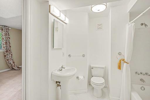 Lower level bathroom