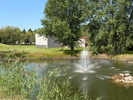 2nd pond.jpeg